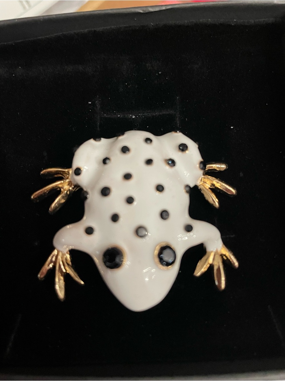 White & Black Polka Dot Frog Pin with Gold Accents